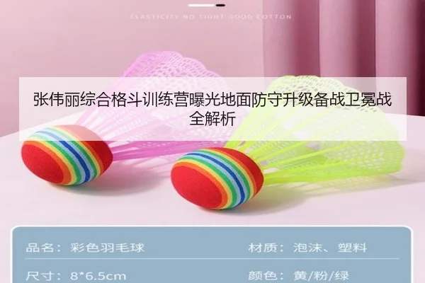 张伟丽综合格斗训练营曝光地面防守升级备战卫冕战全解析